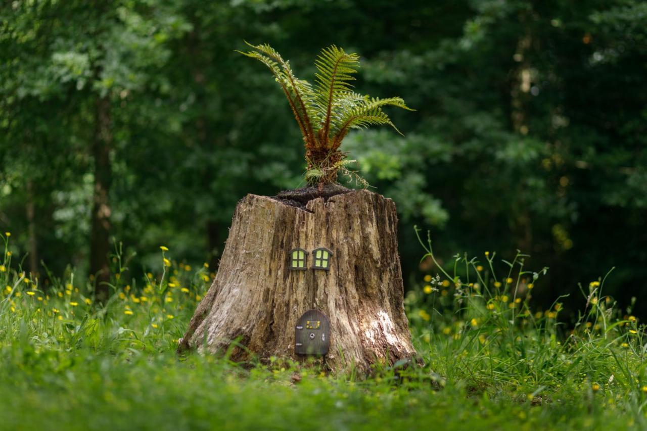 Finca La Peniga Mazcuerras Zewnętrze zdjęcie